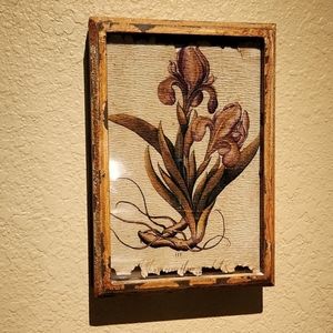 Framed Botanical Wall Art